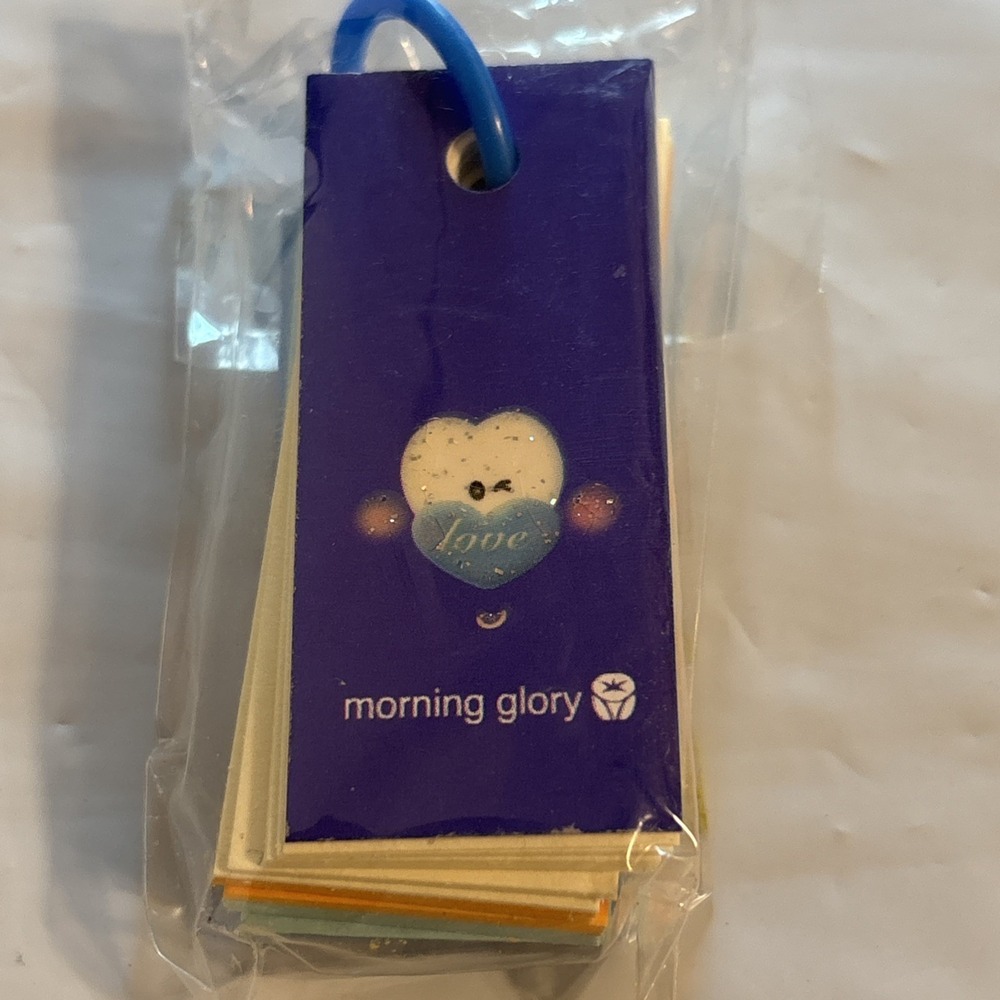 Morning Glory Mini Blank Flash Cards New